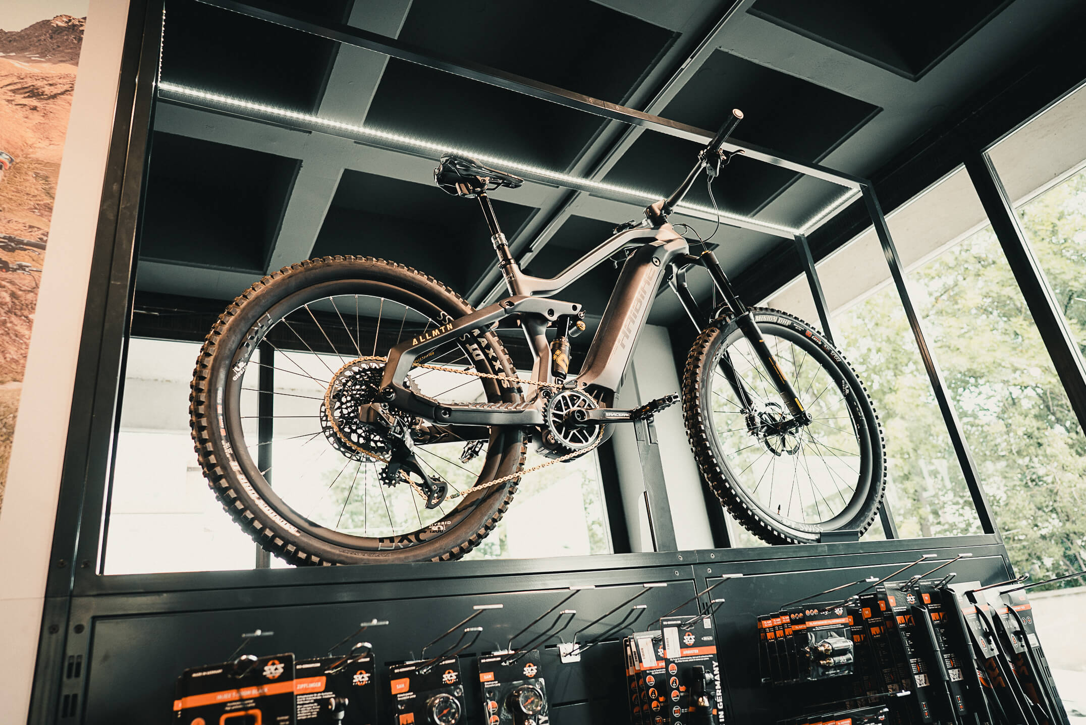wah-hoylerbikeweb12